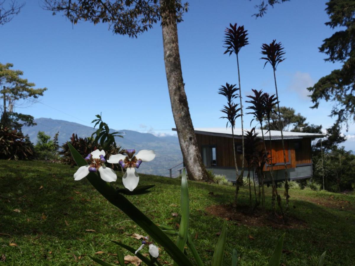 The Lodge At Reventazon River Mountain Ranch Turrialba Zewnętrze zdjęcie